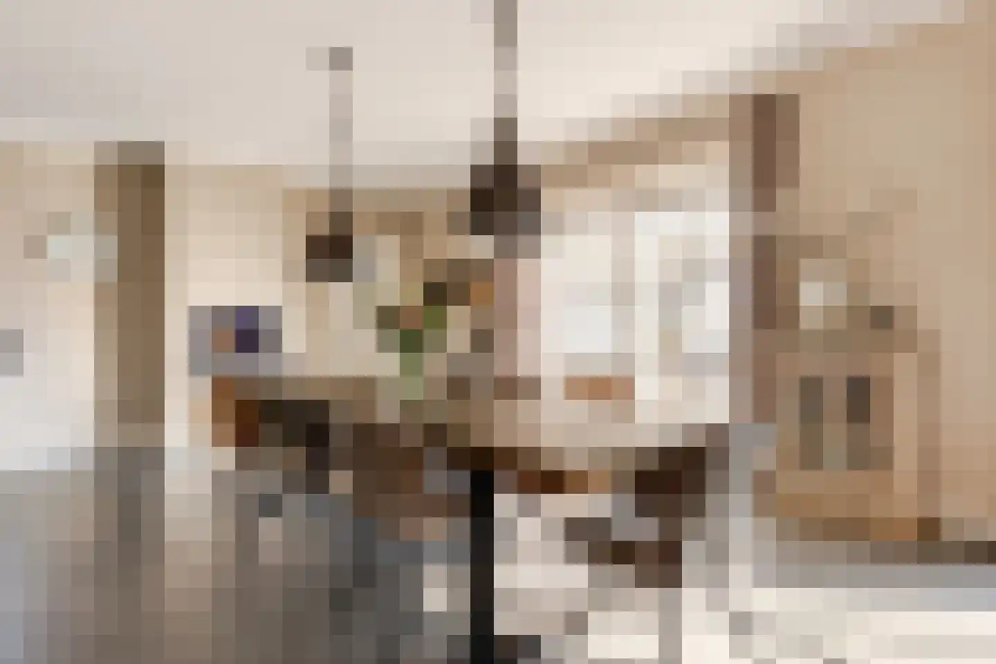 Boomweg 13 b Rockanje thumbnail 16