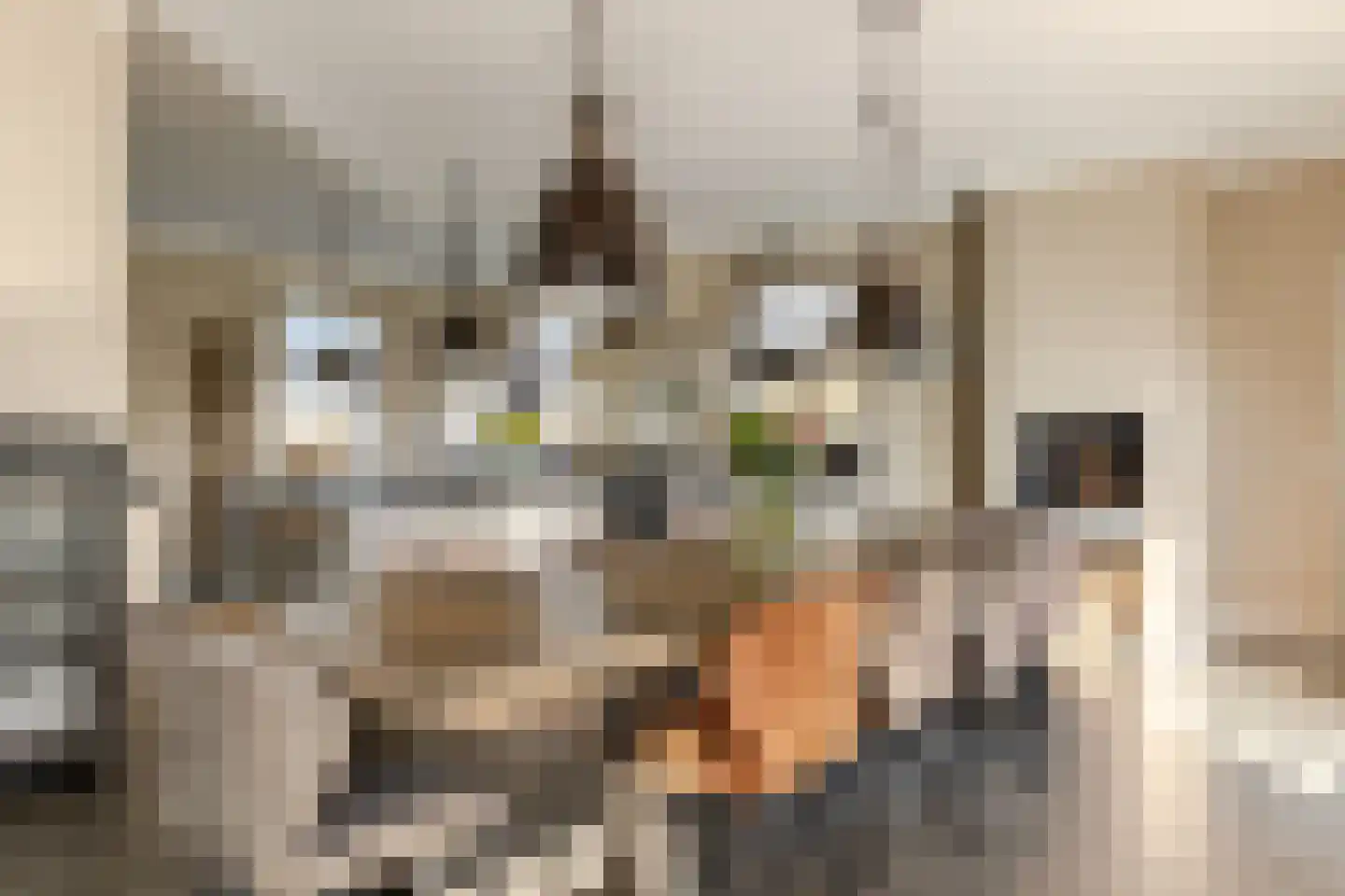 Boomweg 13 b Rockanje thumbnail 17