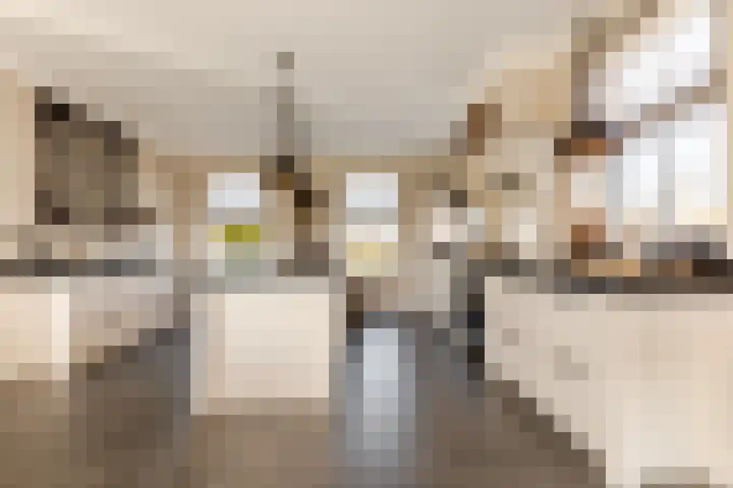 Boomweg 13 b Rockanje thumbnail 19