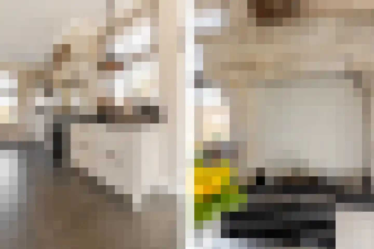 Boomweg 13 b Rockanje thumbnail 20