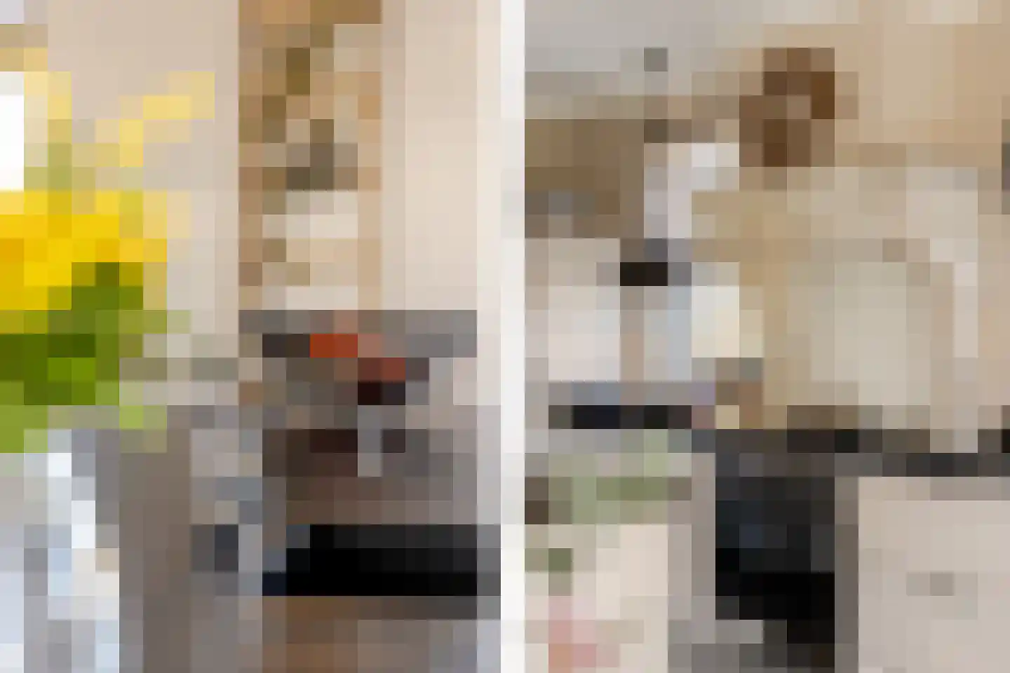 Boomweg 13 b Rockanje thumbnail 21