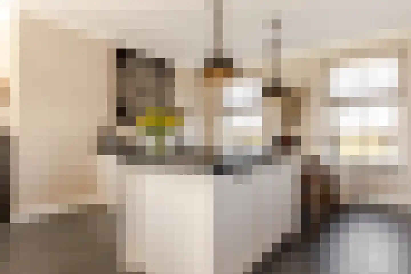 Boomweg 13 b Rockanje thumbnail 22