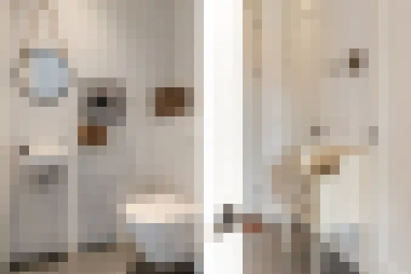 Boomweg 13 b Rockanje thumbnail 33