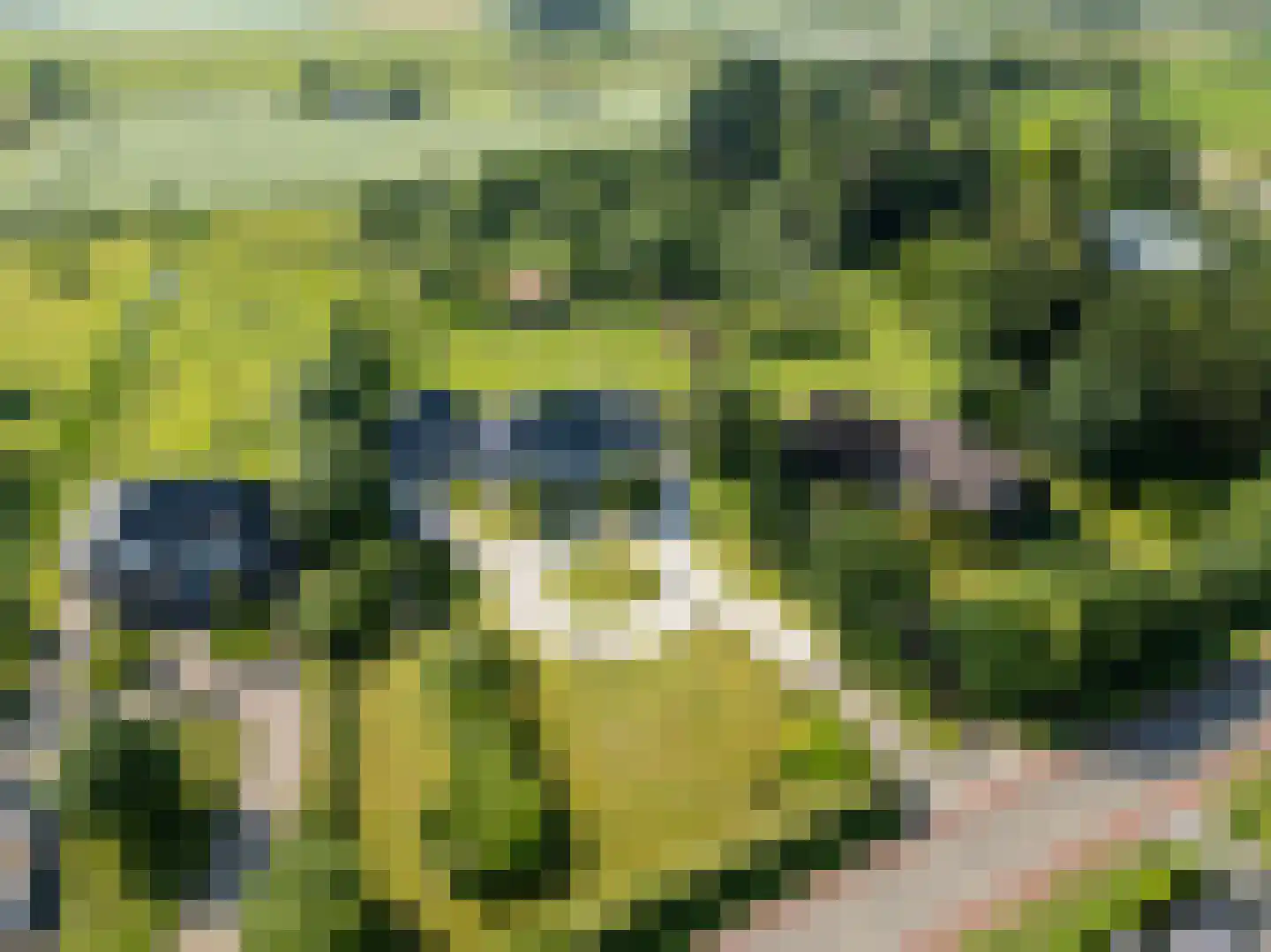 Boomweg 13 b Rockanje thumbnail 4