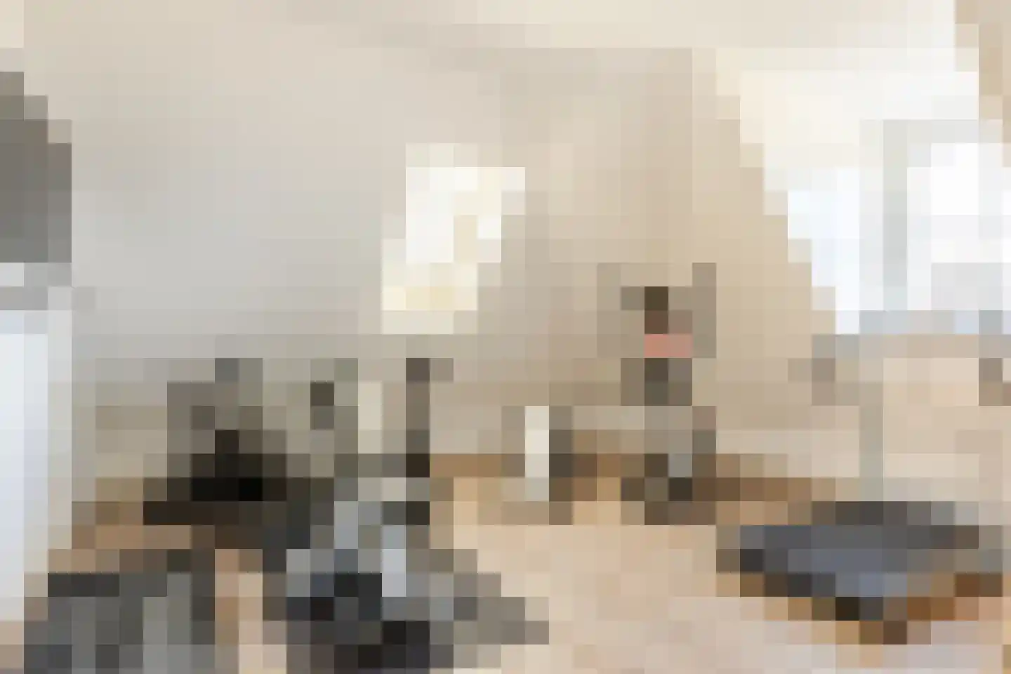Boomweg 13 b Rockanje thumbnail 44