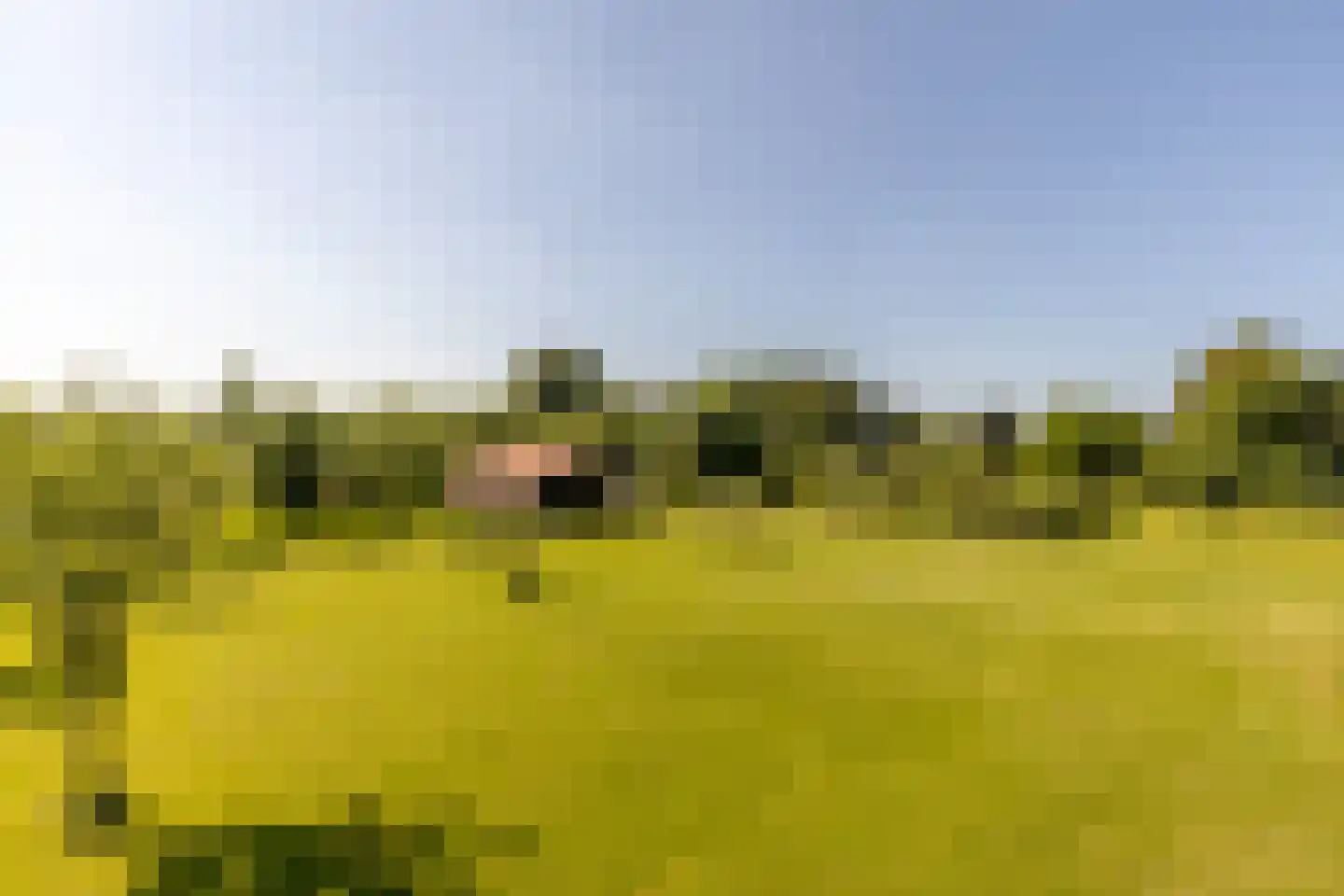 Boomweg 13 b Rockanje thumbnail 51