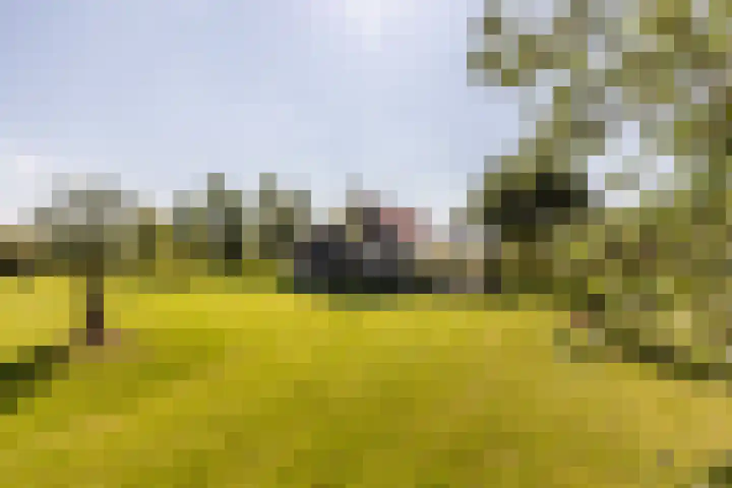 Boomweg 13 b Rockanje thumbnail 52
