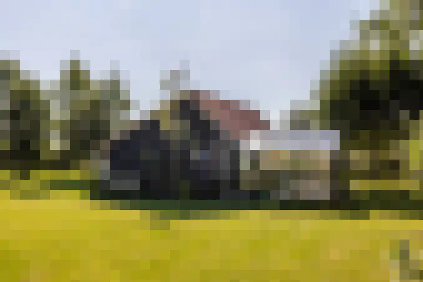Boomweg 13 b Rockanje thumbnail 53