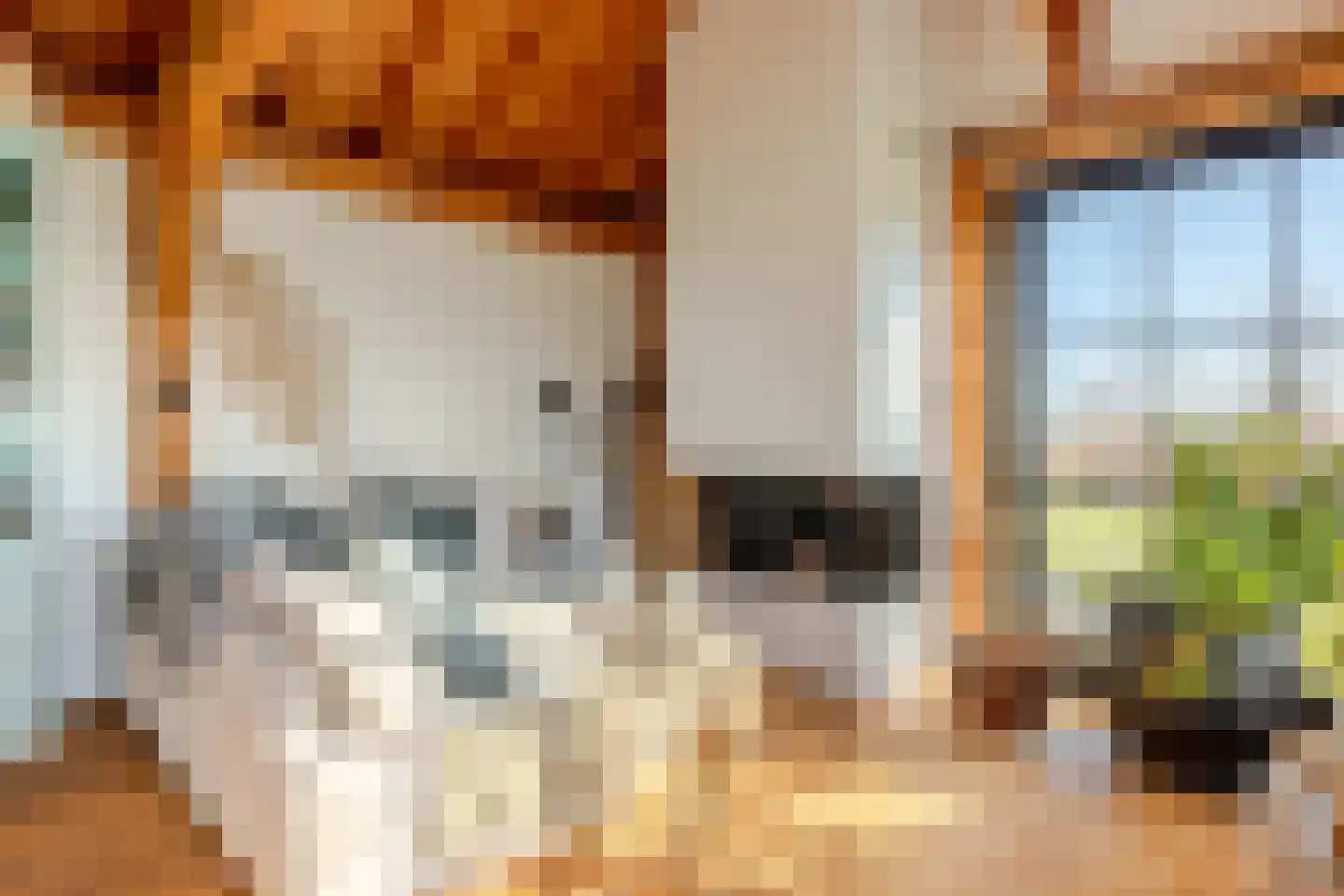 Boomweg 13 b Rockanje thumbnail 54