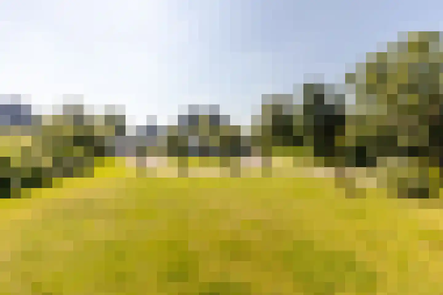 Boomweg 13 b Rockanje thumbnail 6