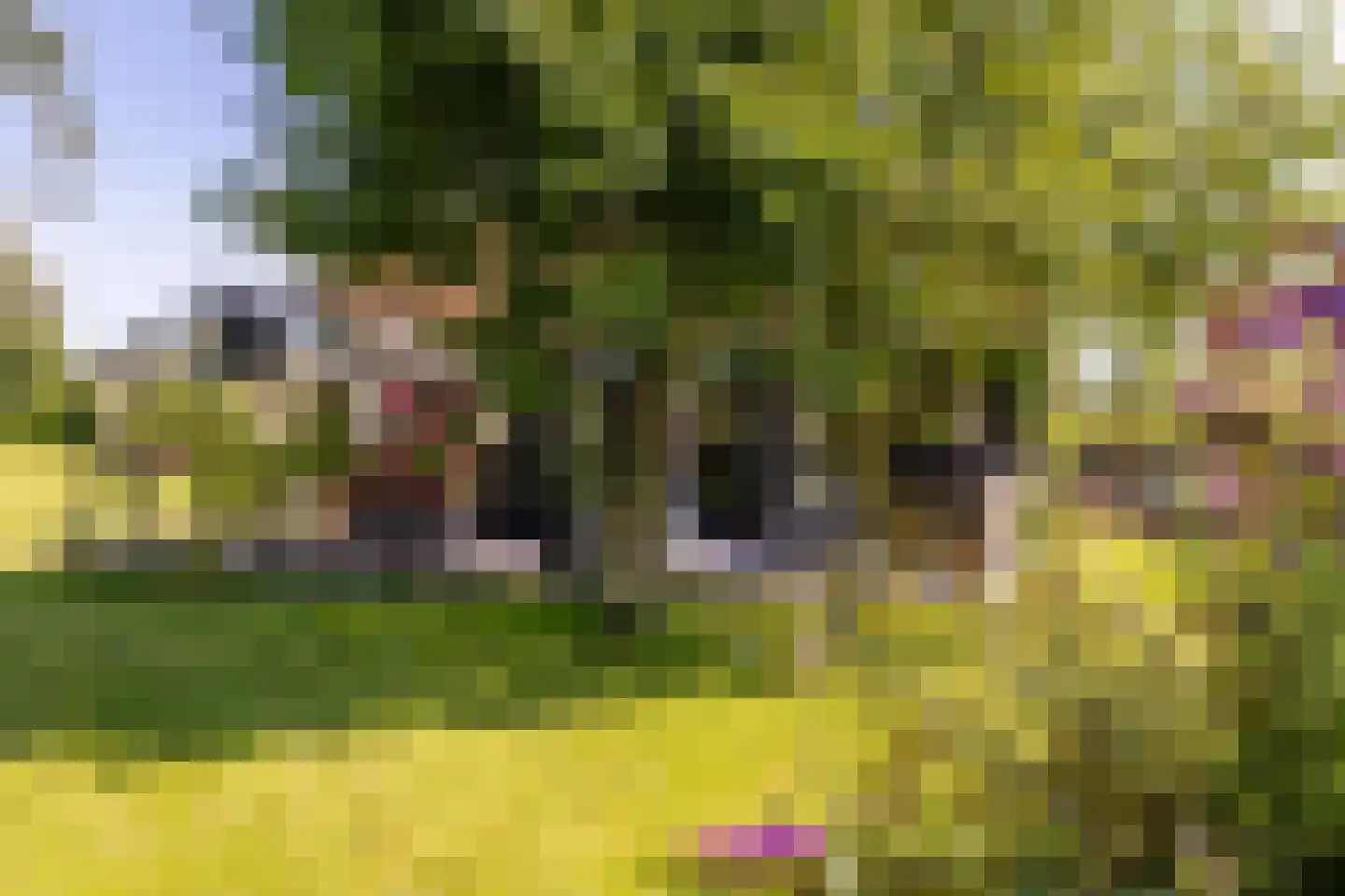 Boomweg 13 b Rockanje thumbnail 62