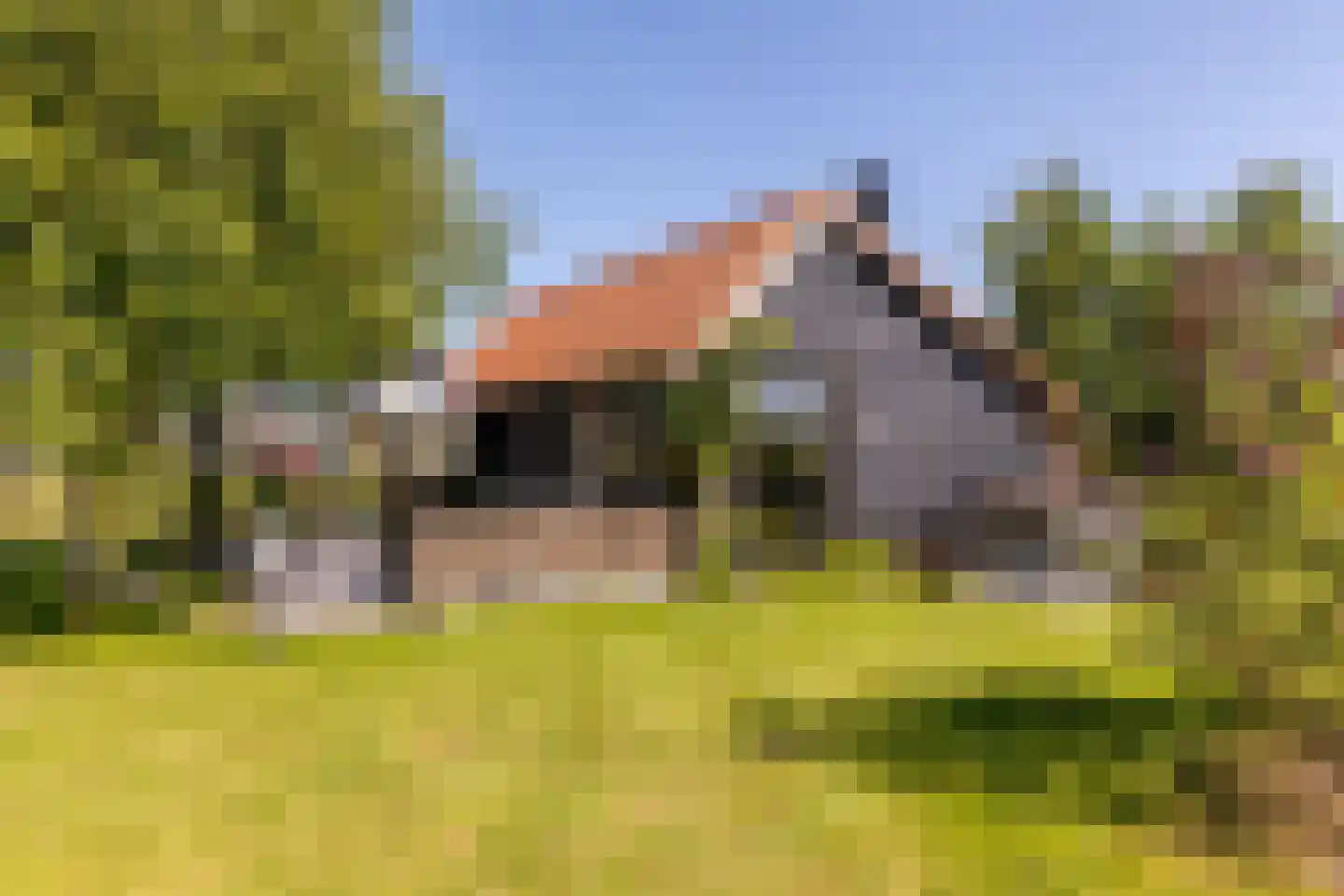 Boomweg 13 b Rockanje thumbnail 63