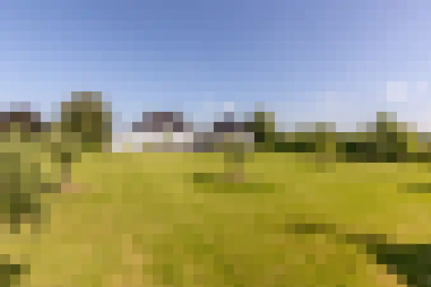 Boomweg 13 b Rockanje thumbnail 64