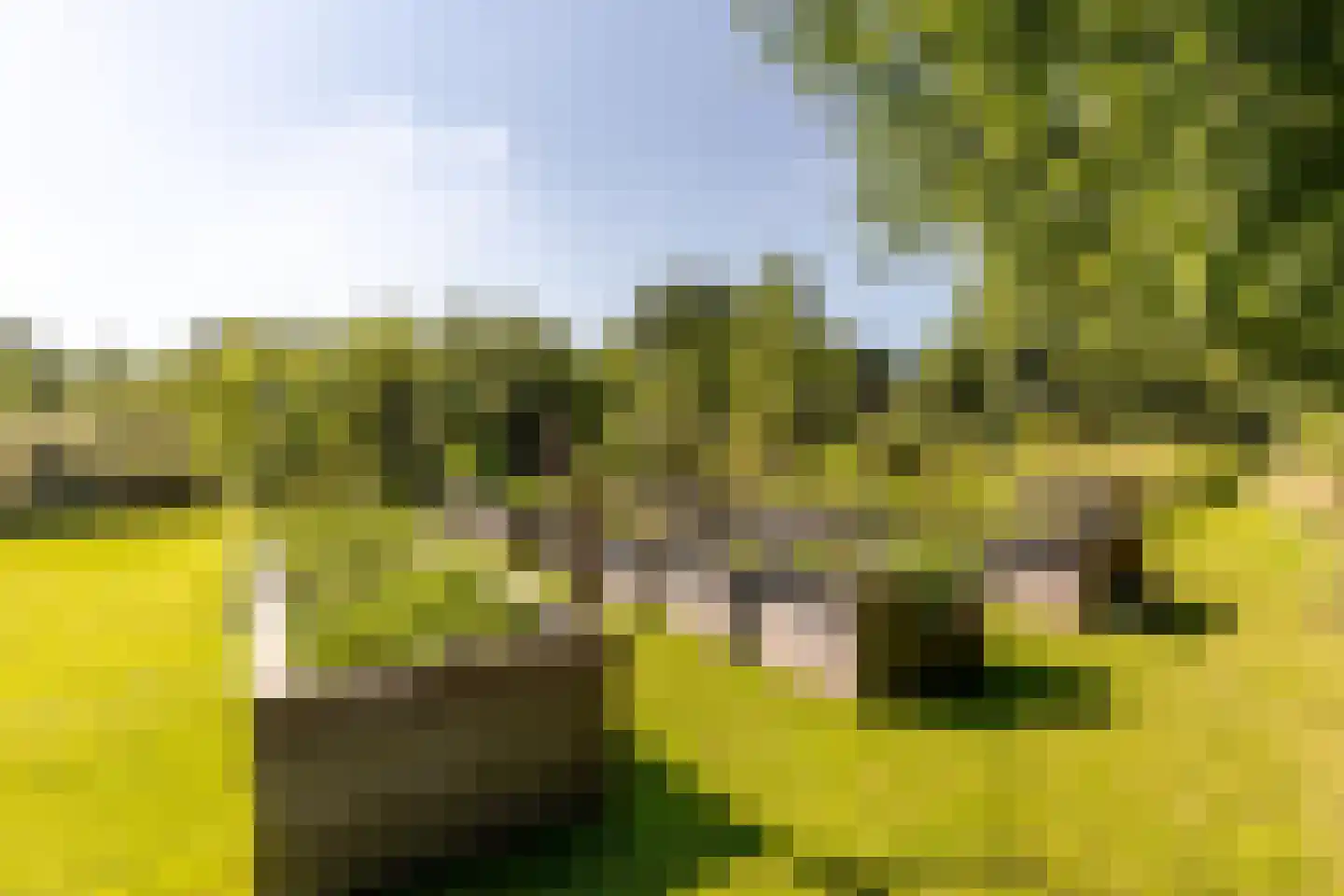 Boomweg 13 b Rockanje thumbnail 65