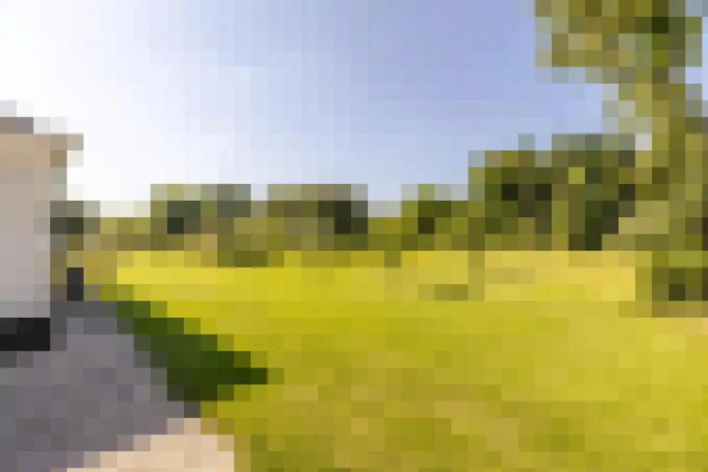 Boomweg 13 b Rockanje thumbnail 66
