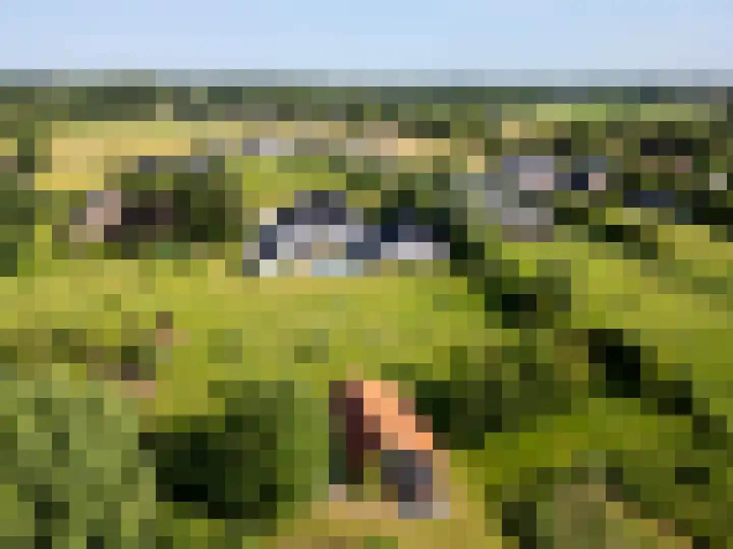 Boomweg 13 b Rockanje thumbnail 67
