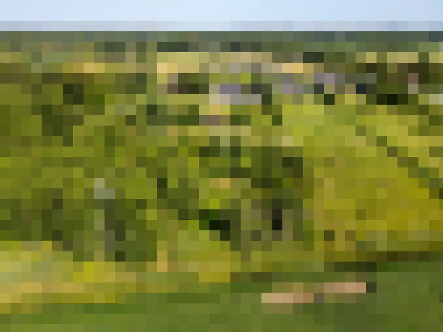 Boomweg 13 b Rockanje thumbnail 68