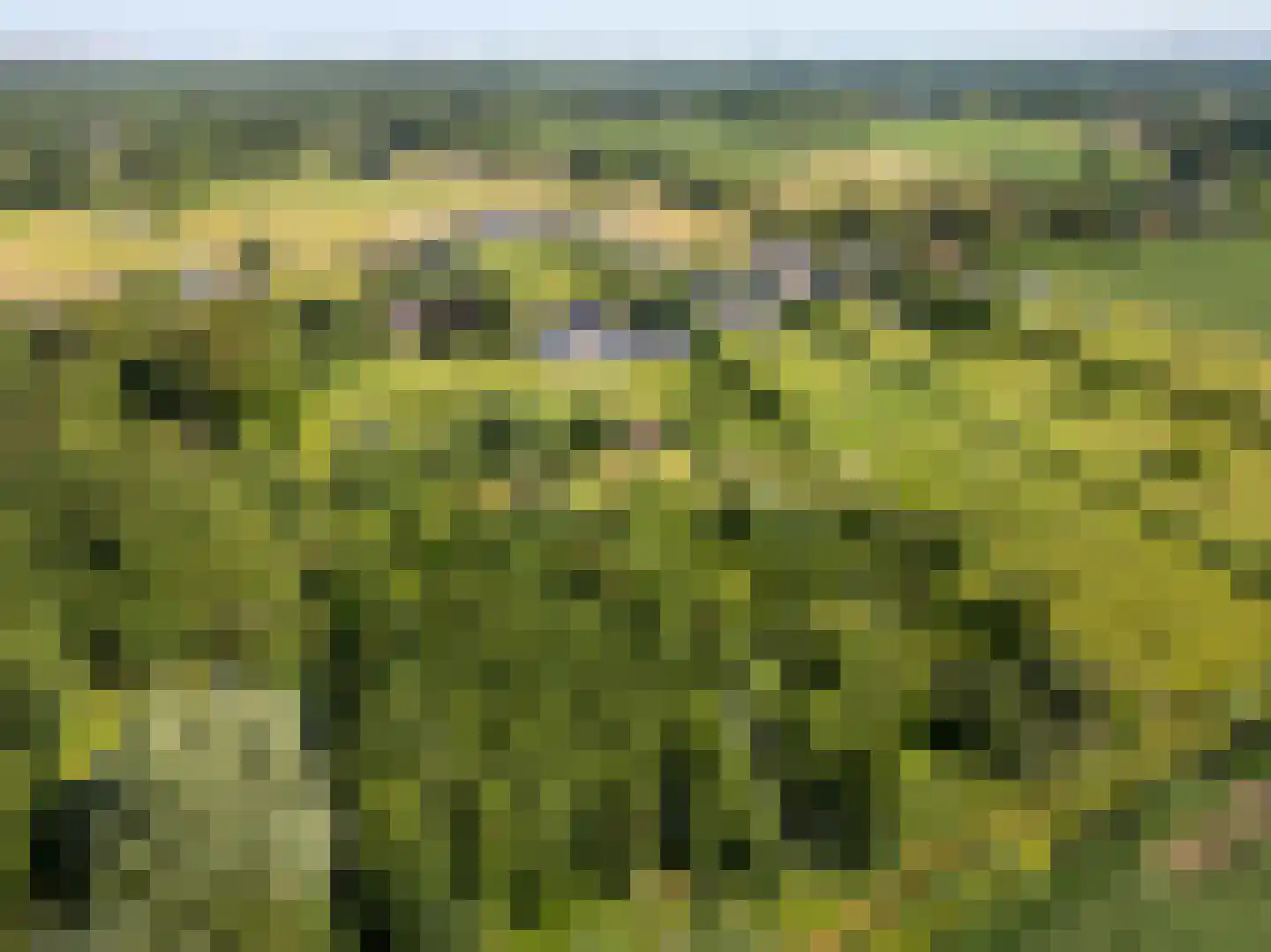 Boomweg 13 b Rockanje thumbnail 69