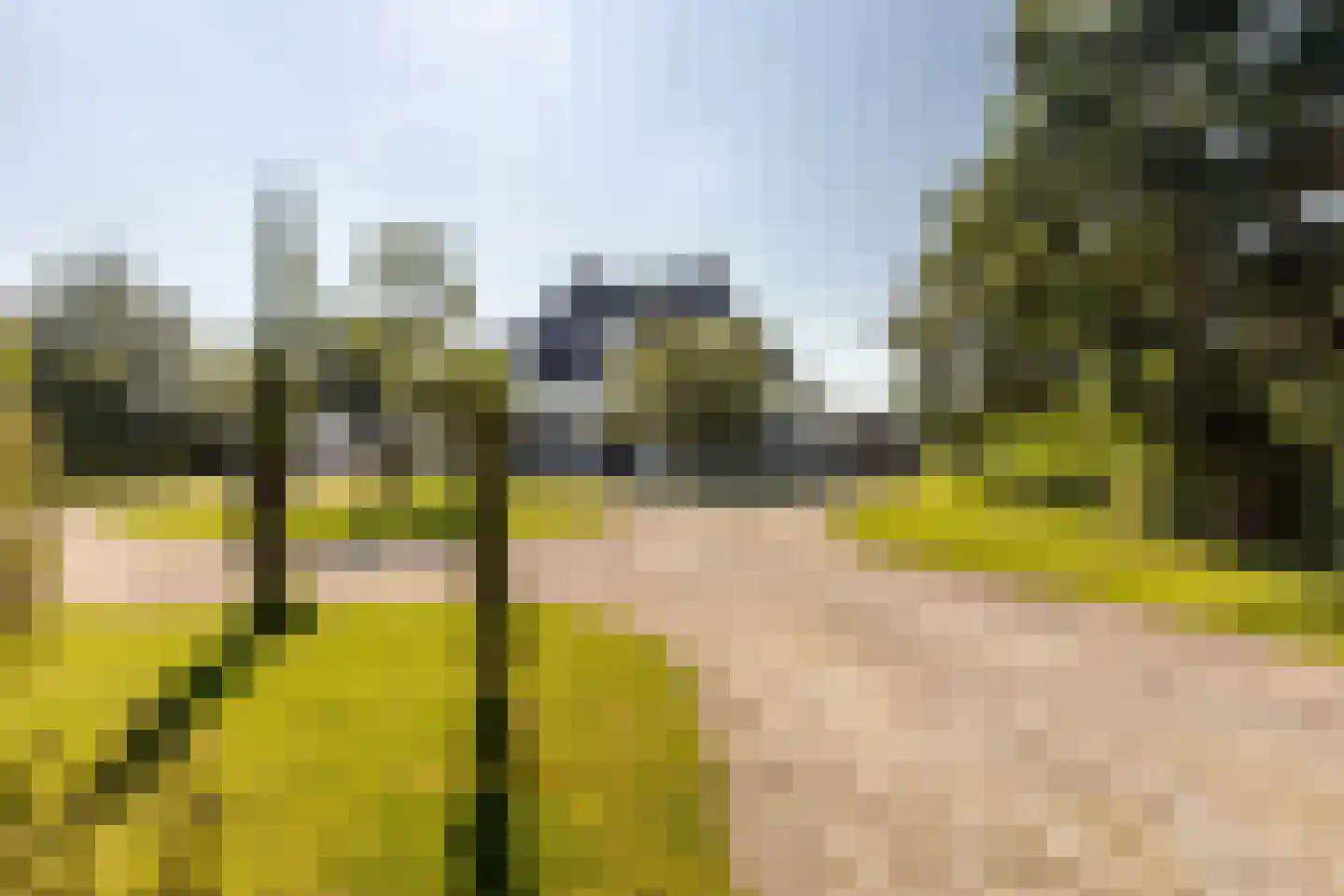 Boomweg 13 b Rockanje thumbnail 7
