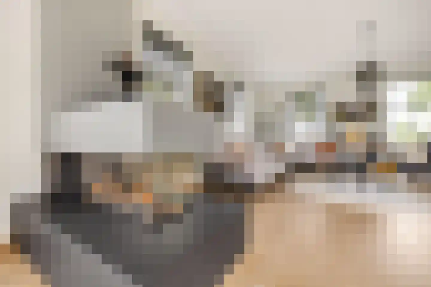 Boomweg 13 c Rockanje thumbnail 19