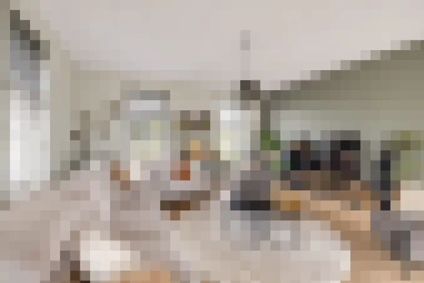 Boomweg 13 c Rockanje thumbnail 21