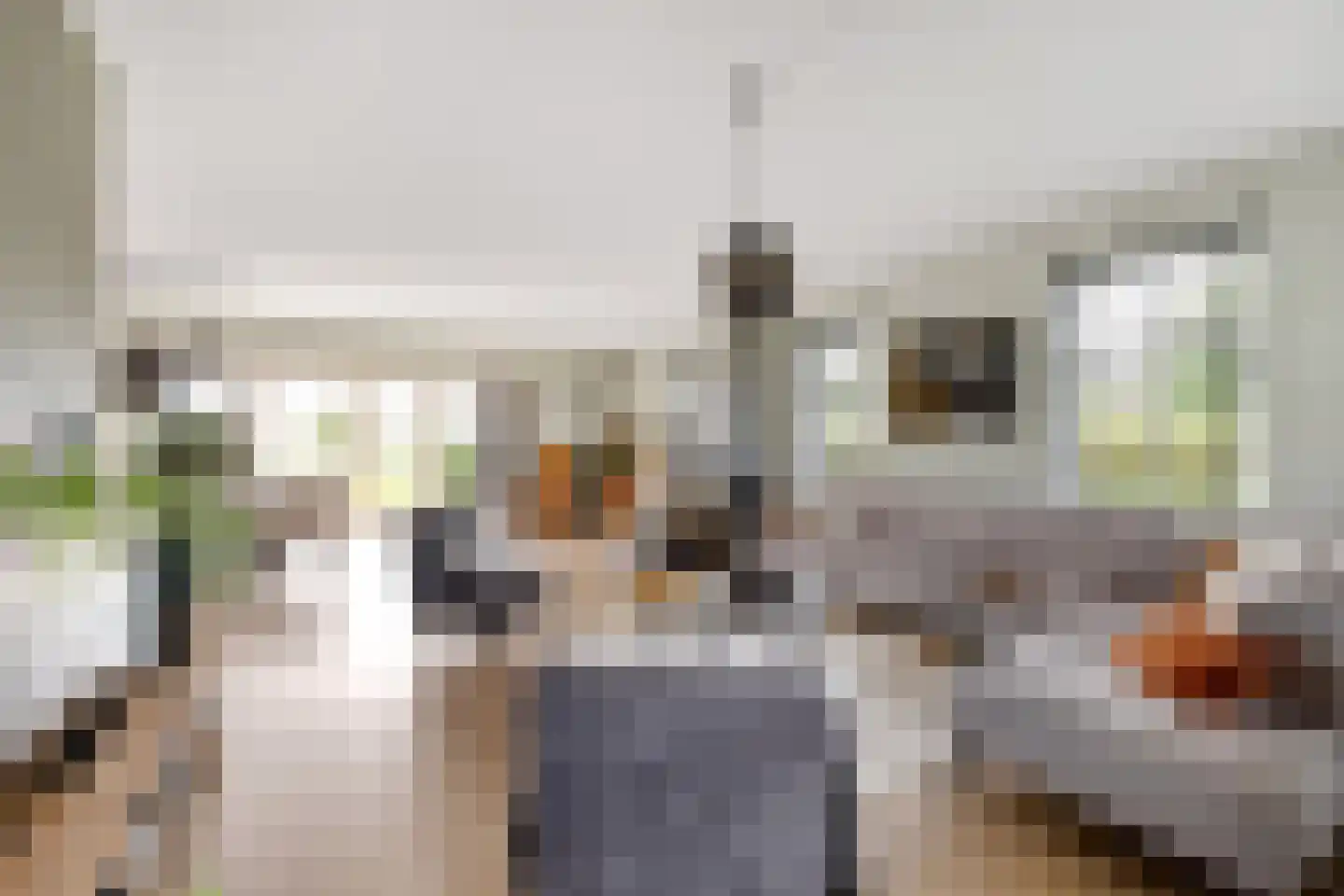 Boomweg 13 c Rockanje thumbnail 22