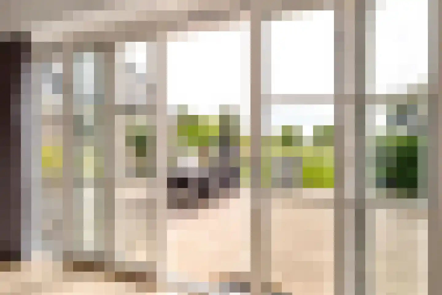 Boomweg 13 c Rockanje thumbnail 26