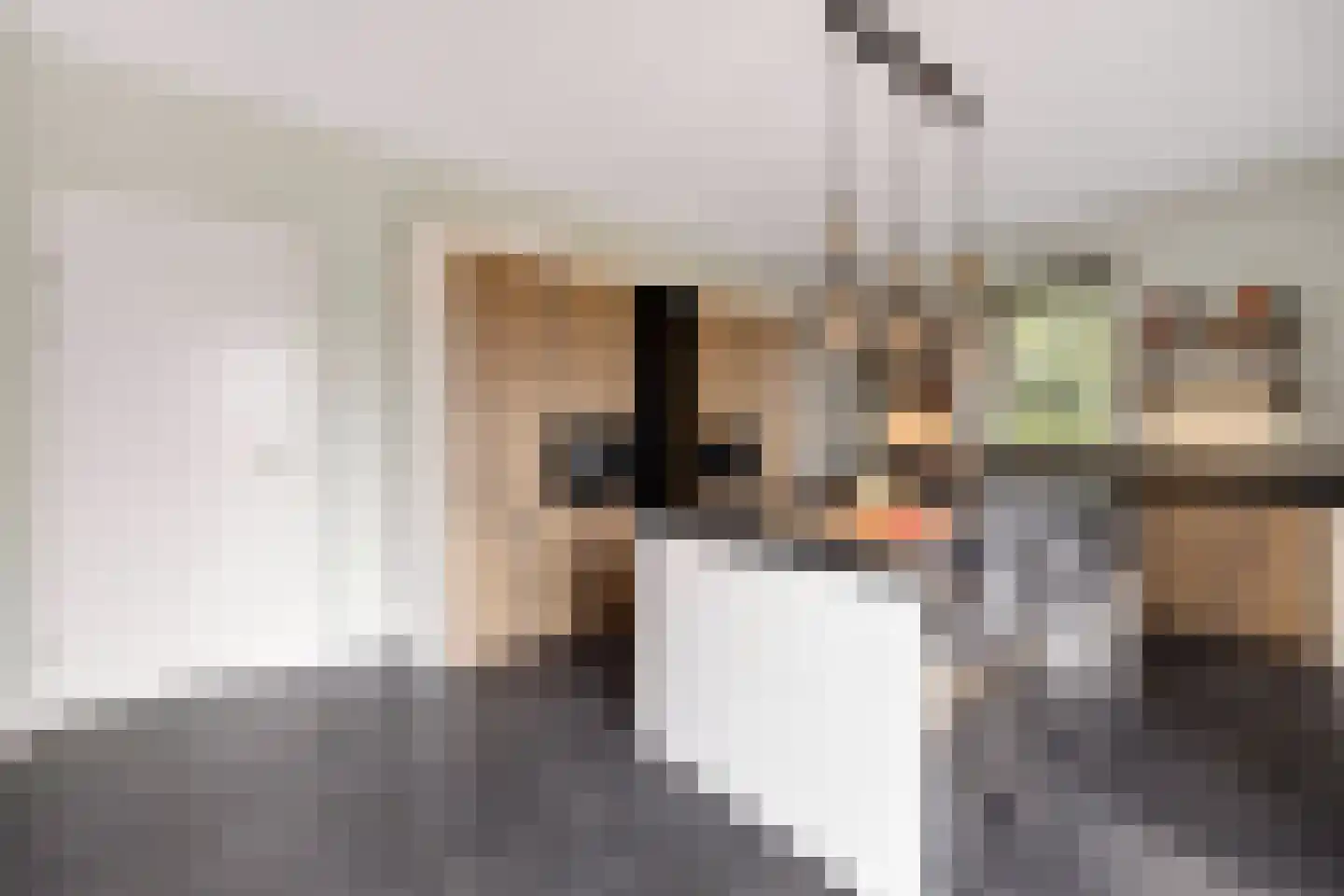 Boomweg 13 c Rockanje thumbnail 30