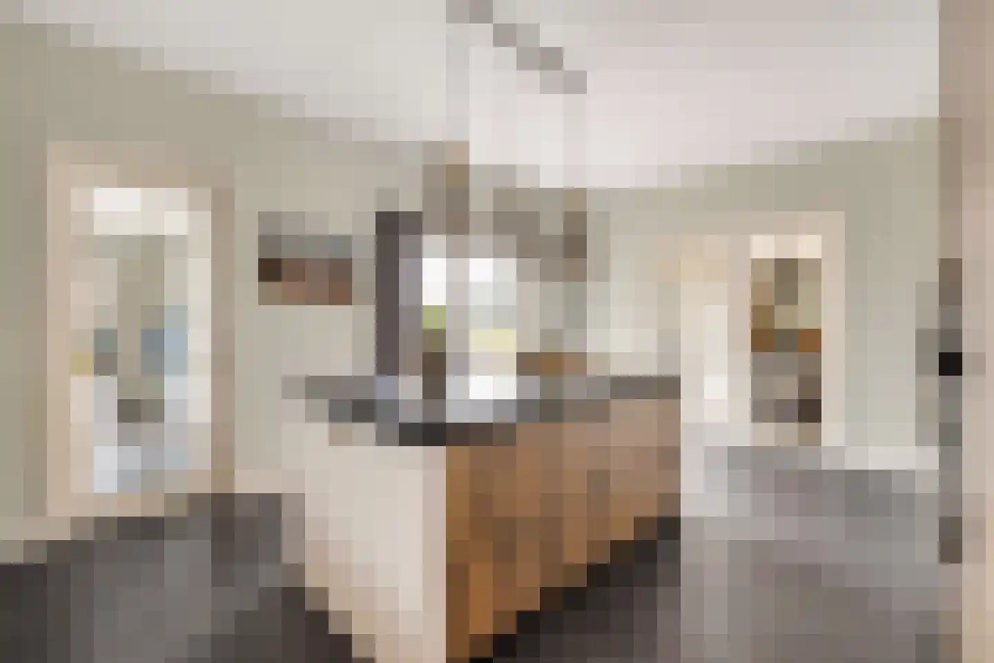 Boomweg 13 c Rockanje thumbnail 32