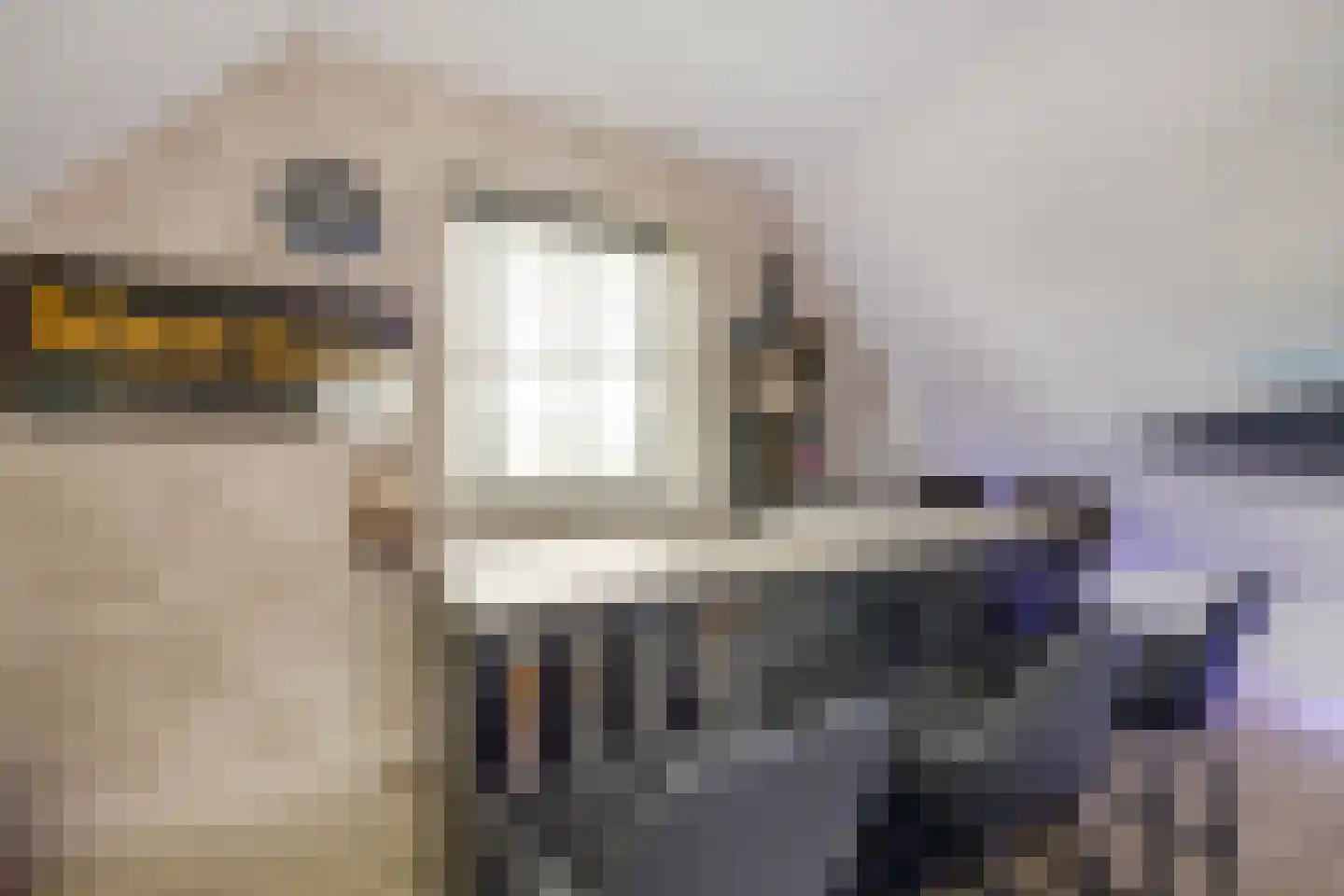 Boomweg 13 c Rockanje thumbnail 36