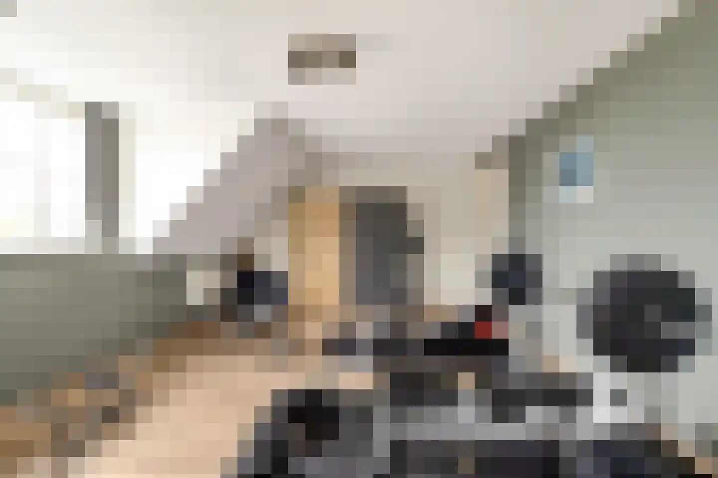 Boomweg 13 c Rockanje thumbnail 54