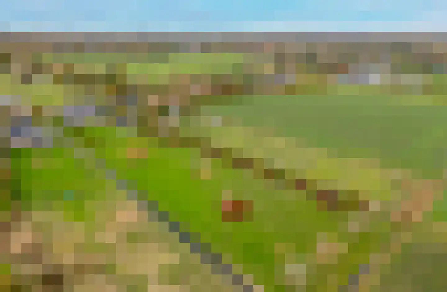 Boomweg 13 c Rockanje thumbnail 6