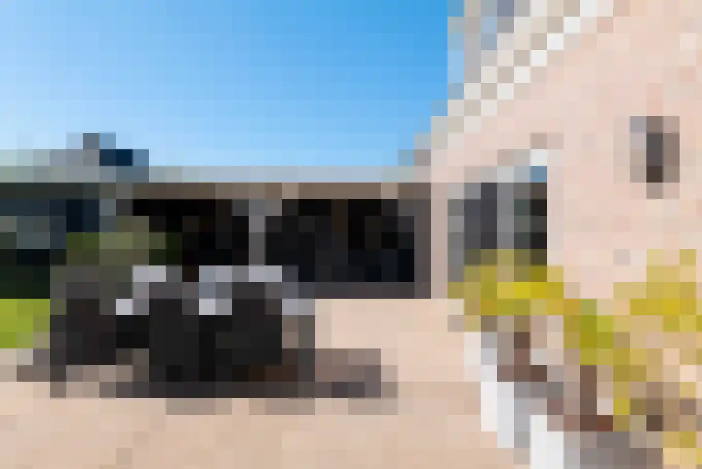 Boomweg 13 c Rockanje thumbnail 64