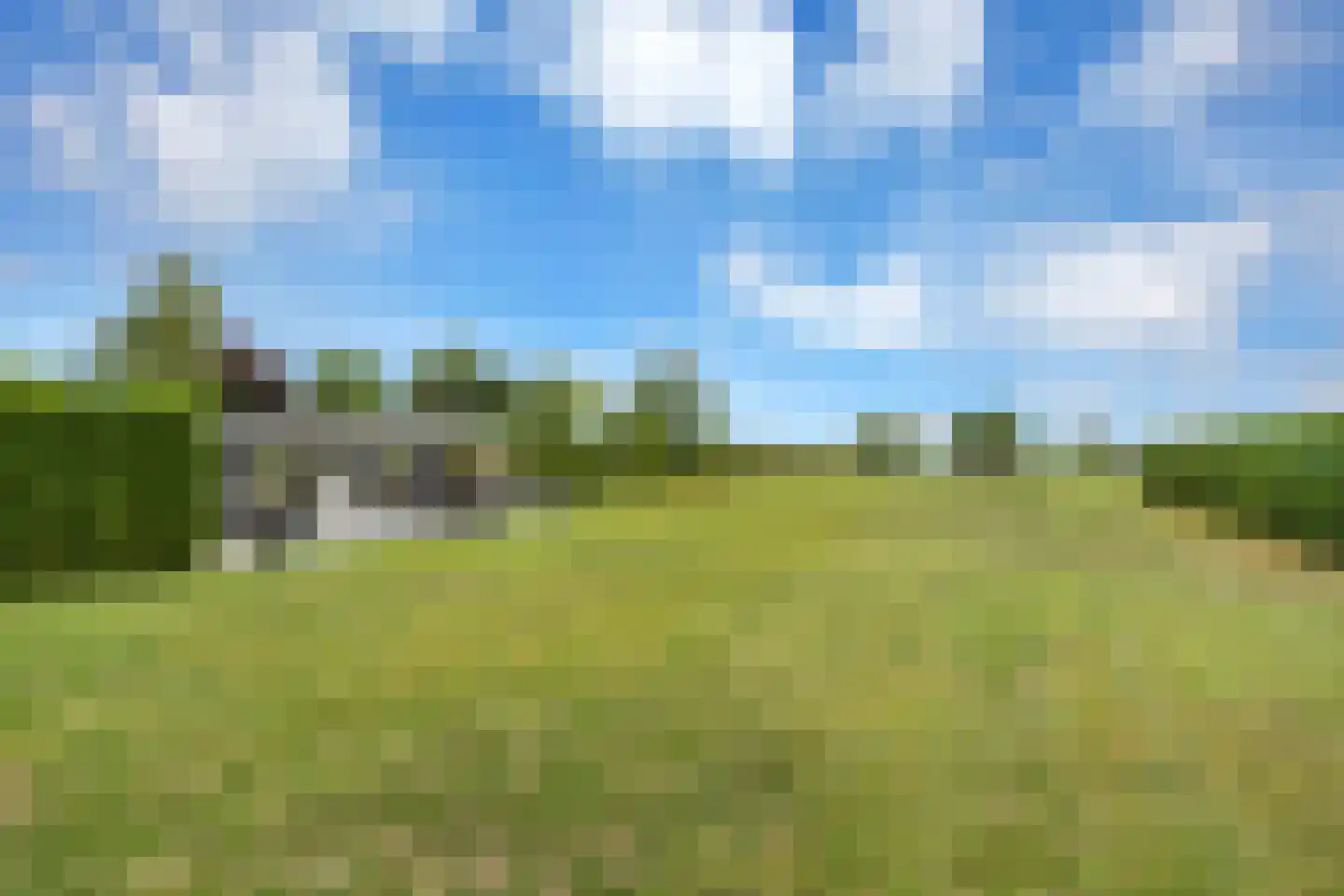 Boomweg 13 c Rockanje thumbnail 65