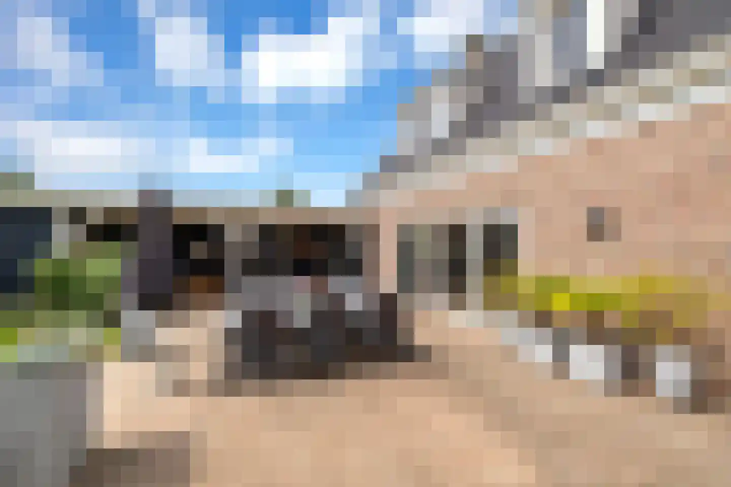 Boomweg 13 c Rockanje thumbnail 69