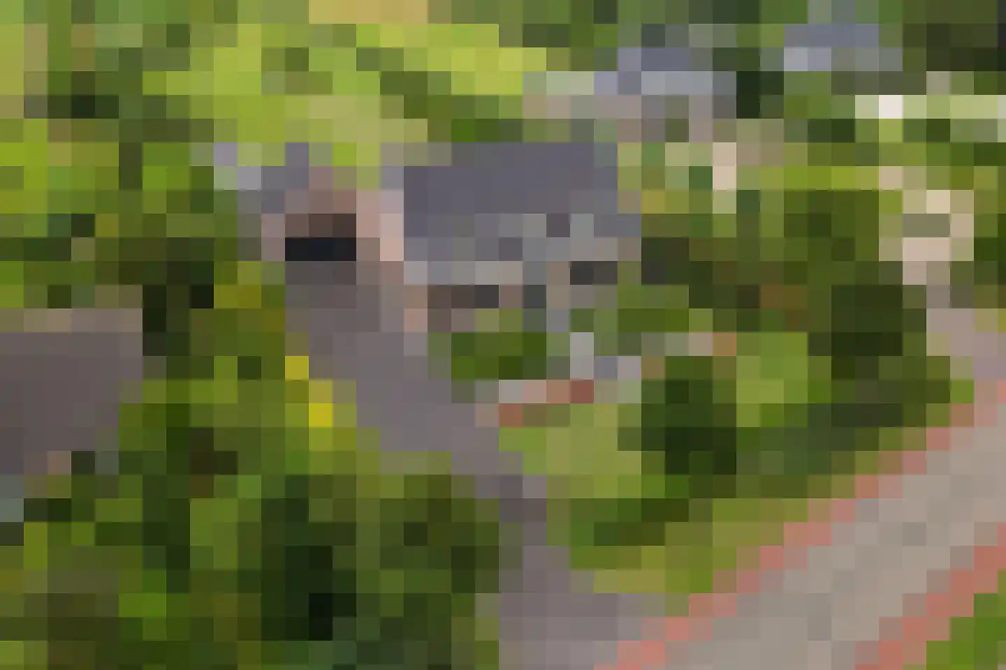 Boomweg 13 c Rockanje thumbnail 7