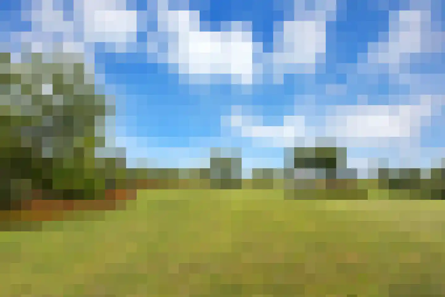Boomweg 13 c Rockanje thumbnail 73