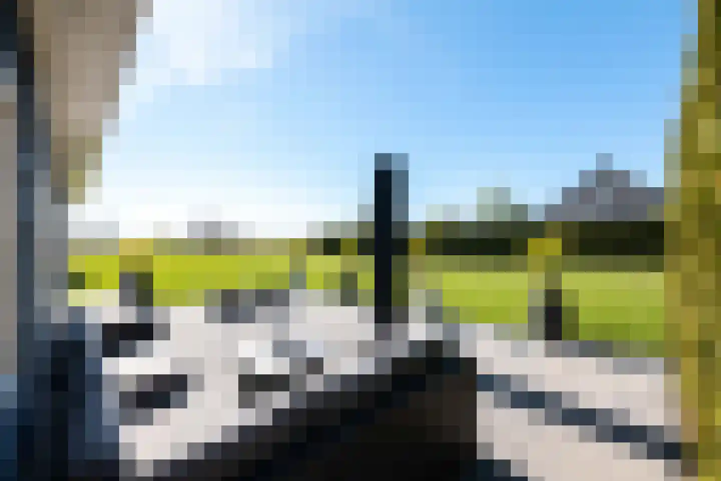 Boomweg 13 c Rockanje thumbnail 73