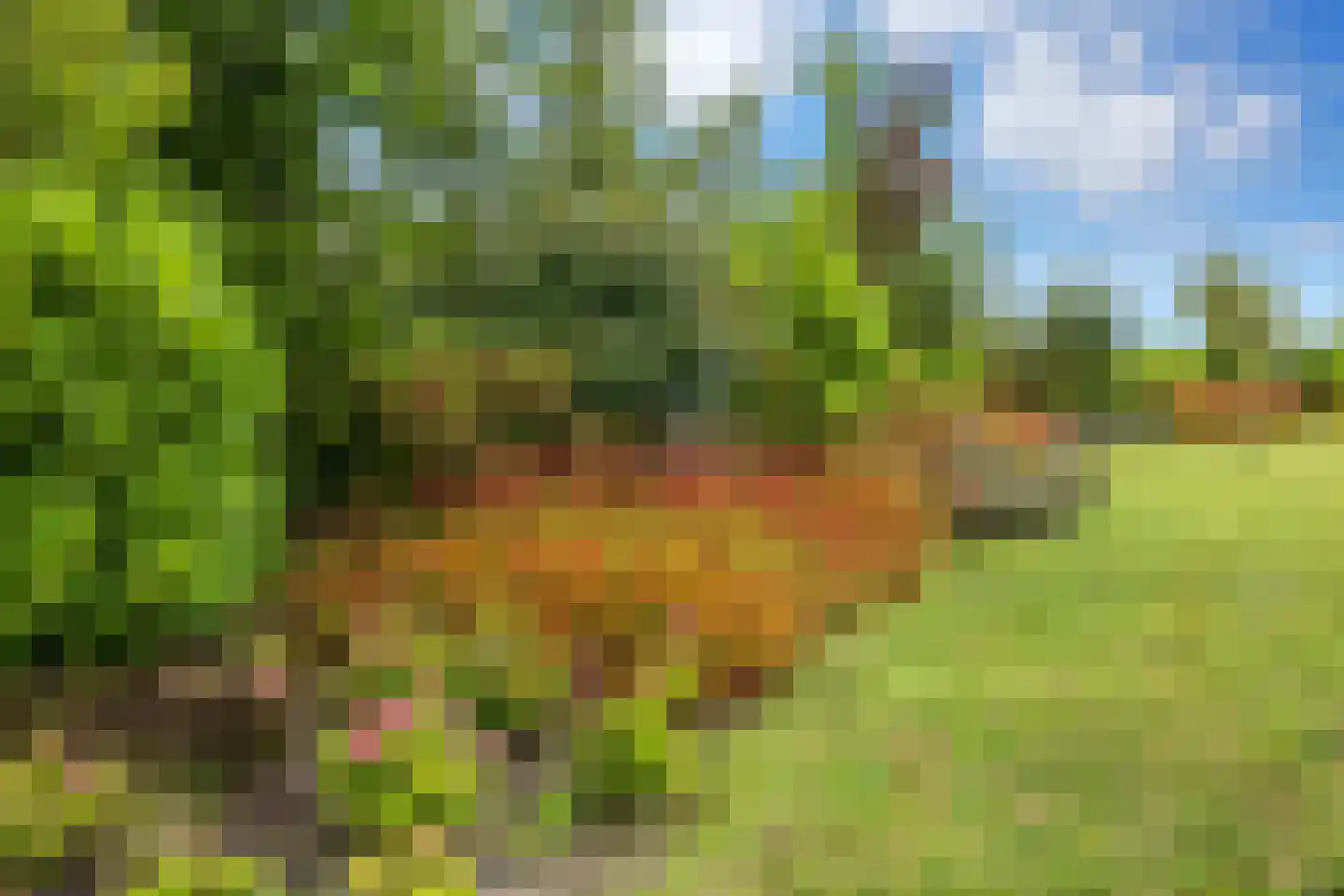 Boomweg 13 c Rockanje thumbnail 74
