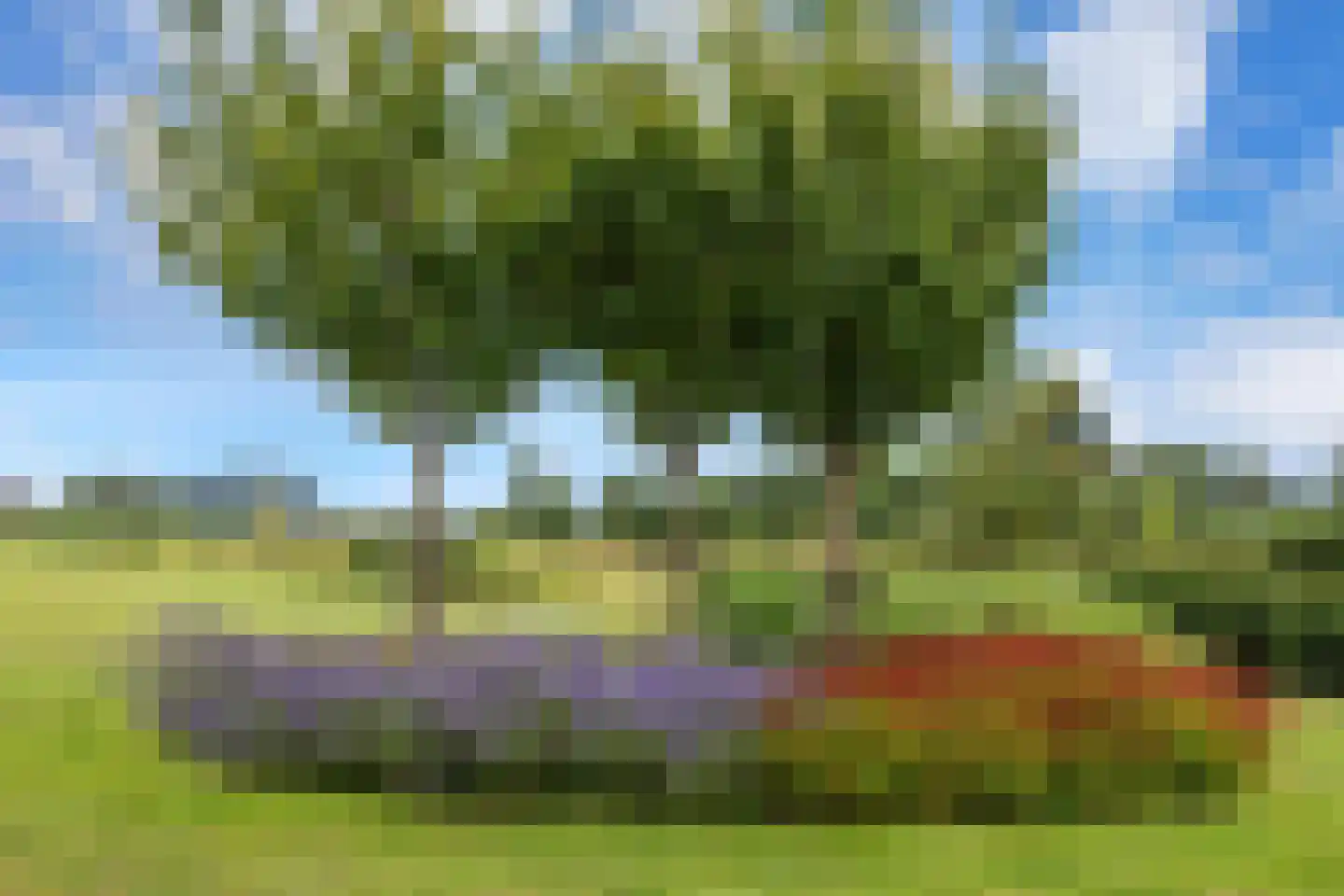 Boomweg 13 c Rockanje thumbnail 75