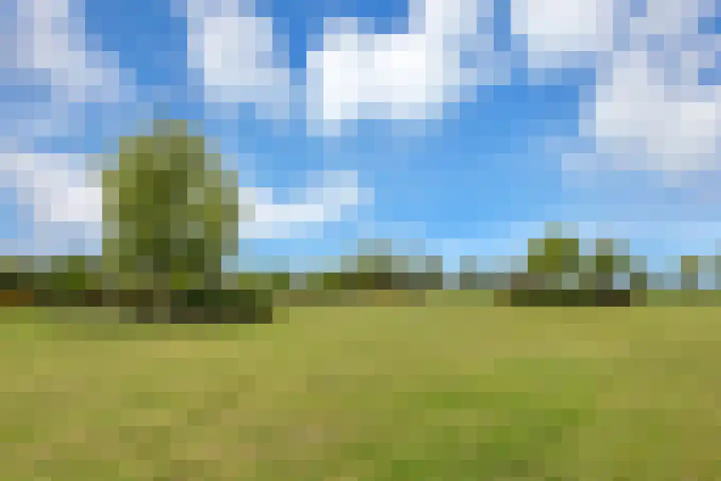 Boomweg 13 c Rockanje thumbnail 76