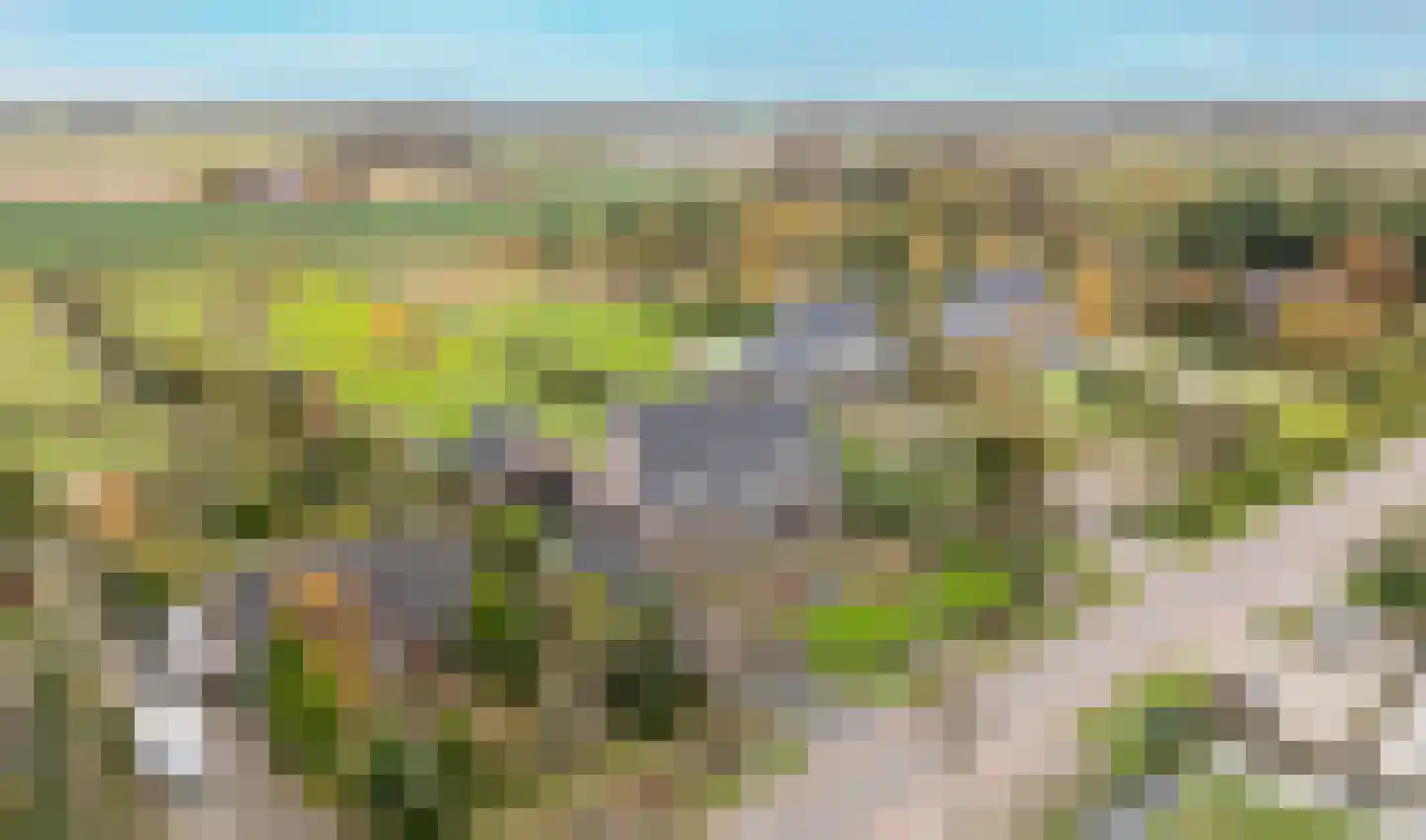 Boomweg 13 c Rockanje thumbnail 78