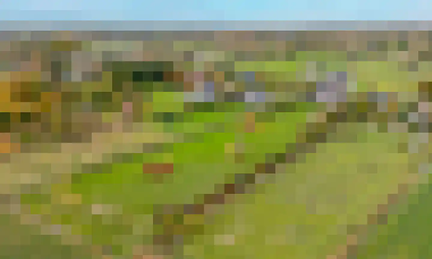 Boomweg 13 c Rockanje thumbnail 81