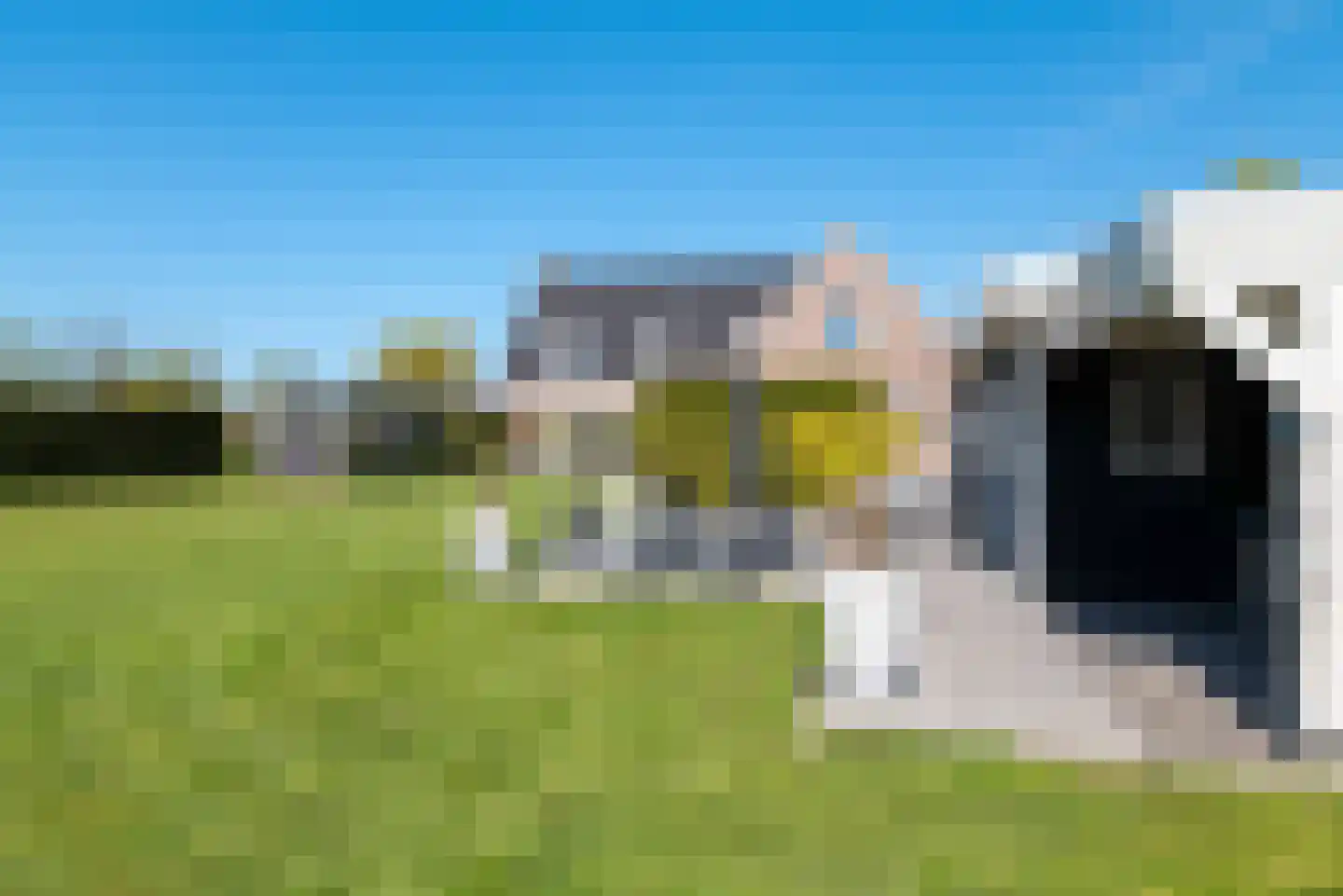 Boomweg 13 c Rockanje thumbnail 81