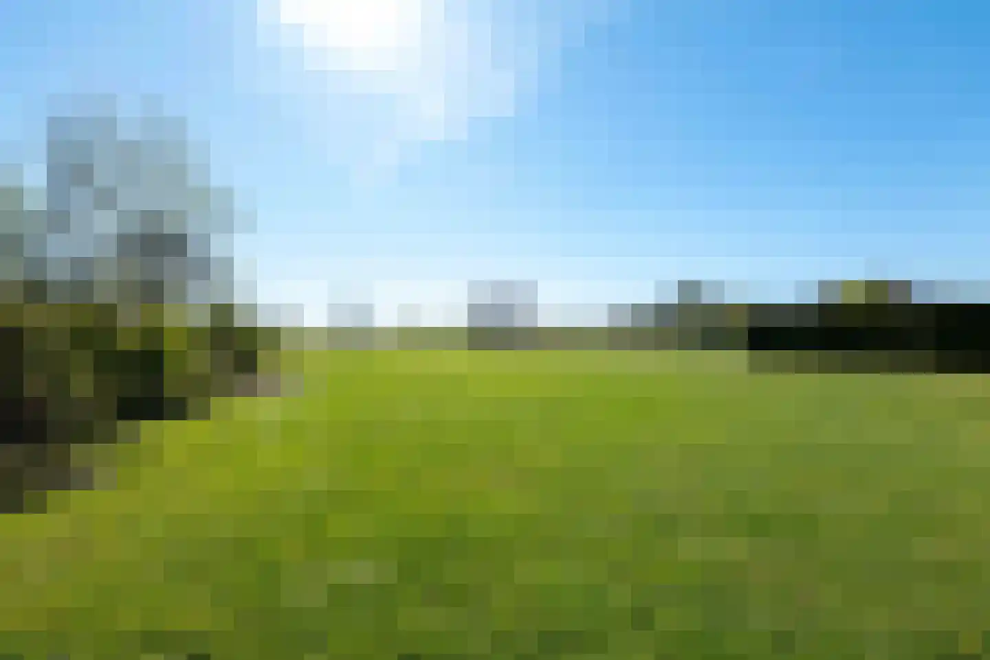 Boomweg 13 c Rockanje thumbnail 82