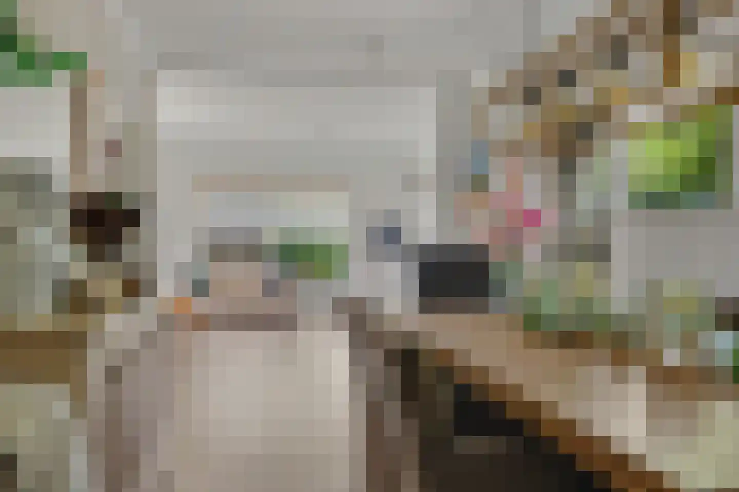 Boomweg 15 a Rockanje thumbnail 12