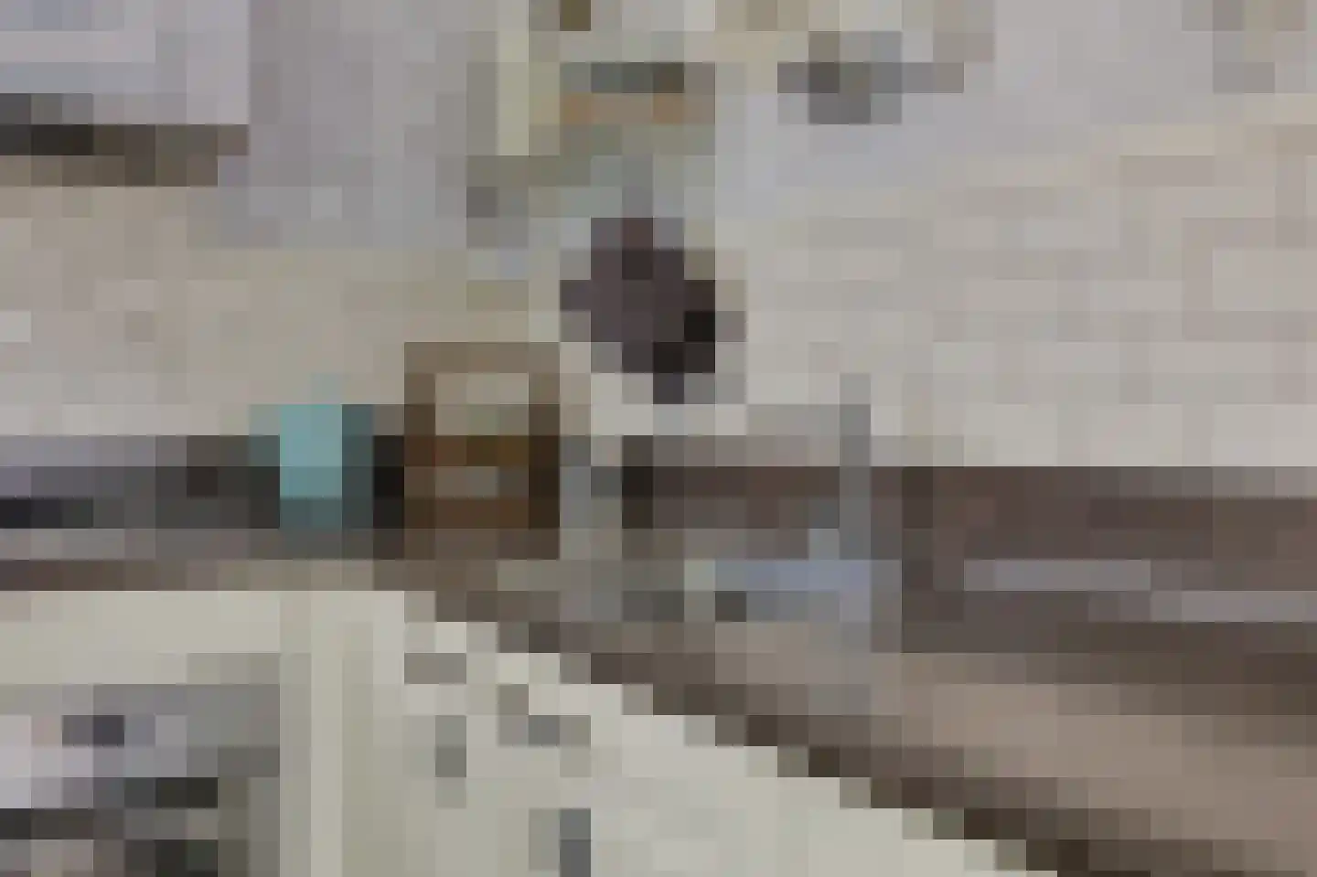 Boomweg 15 a Rockanje thumbnail 16