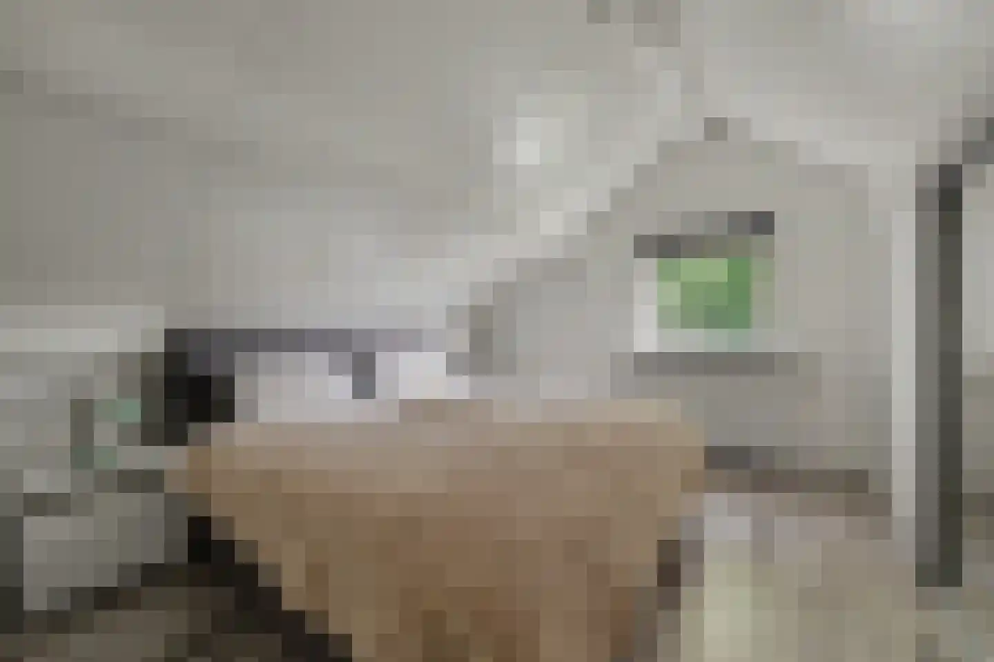 Boomweg 15 a Rockanje thumbnail 22