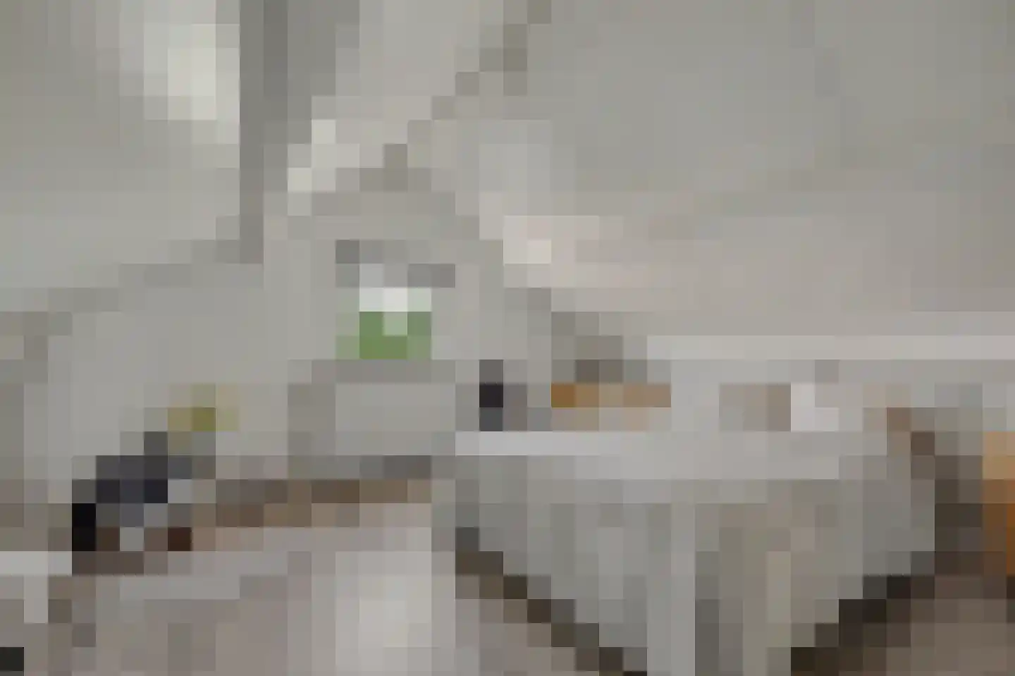 Boomweg 15 a Rockanje thumbnail 24