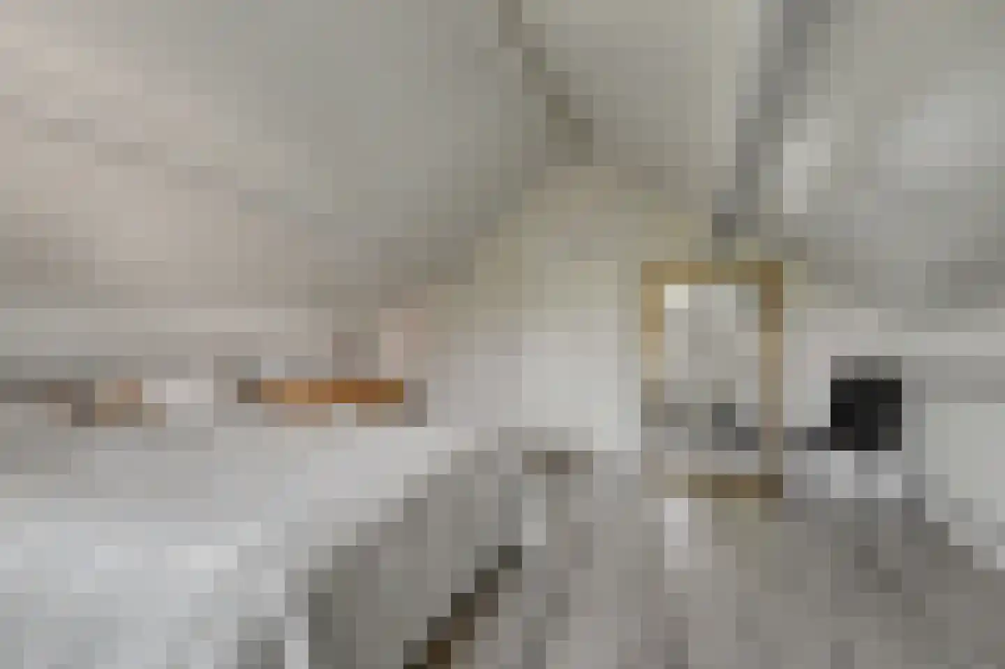 Boomweg 15 a Rockanje thumbnail 25